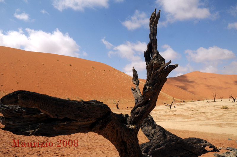 2008_Namibia_1625.JPG