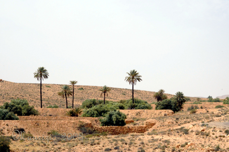 2008_tunisia_0015.JPG