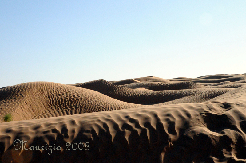 2008_tunisia_0238.JPG