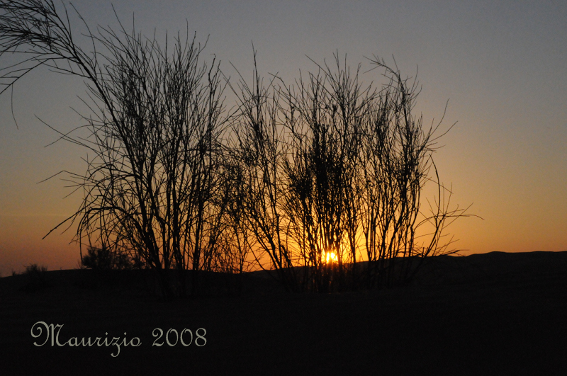2008_tunisia_0293.JPG