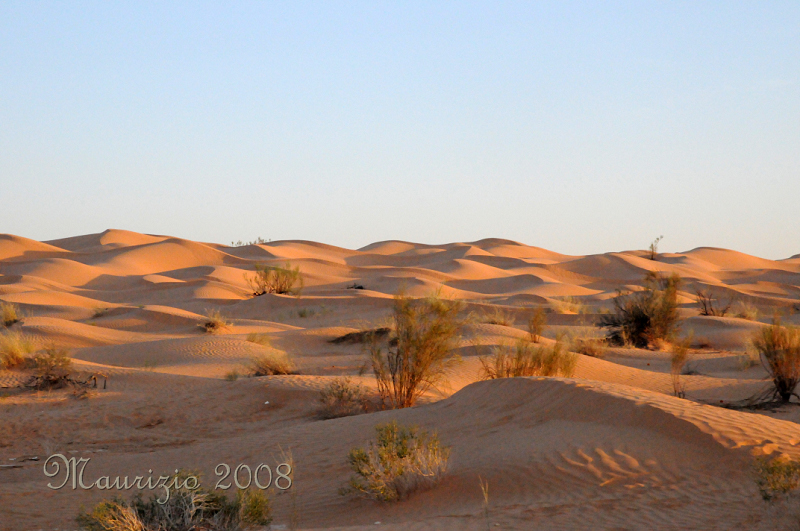 2008_tunisia_0294.JPG