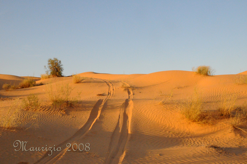 2008_tunisia_0298.JPG