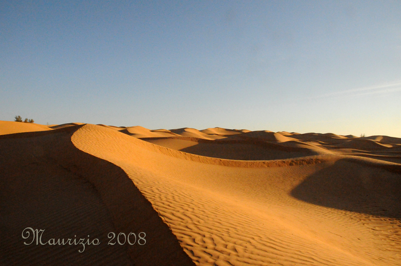2008_tunisia_0308.JPG