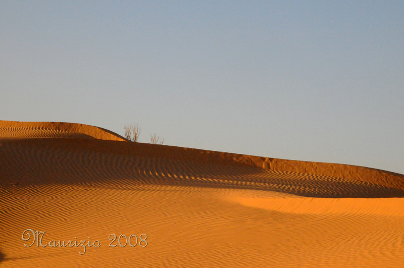 2008_tunisia_0405.JPG