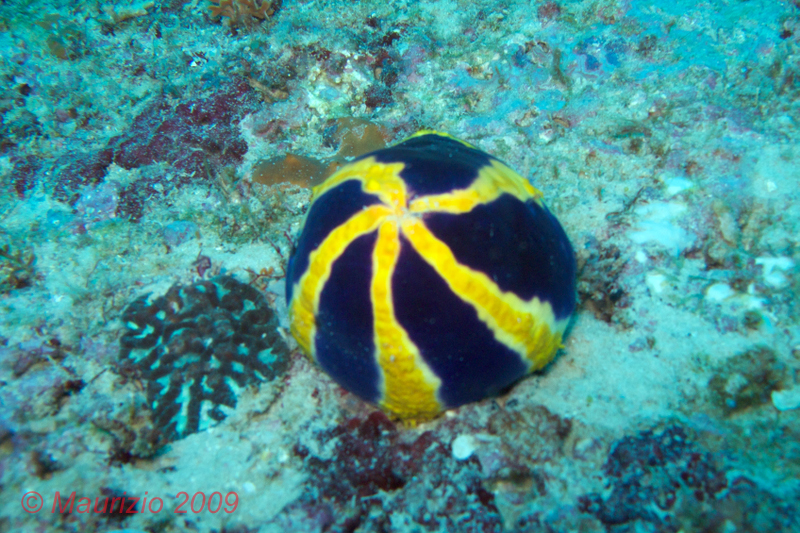 IMG_16.jpg