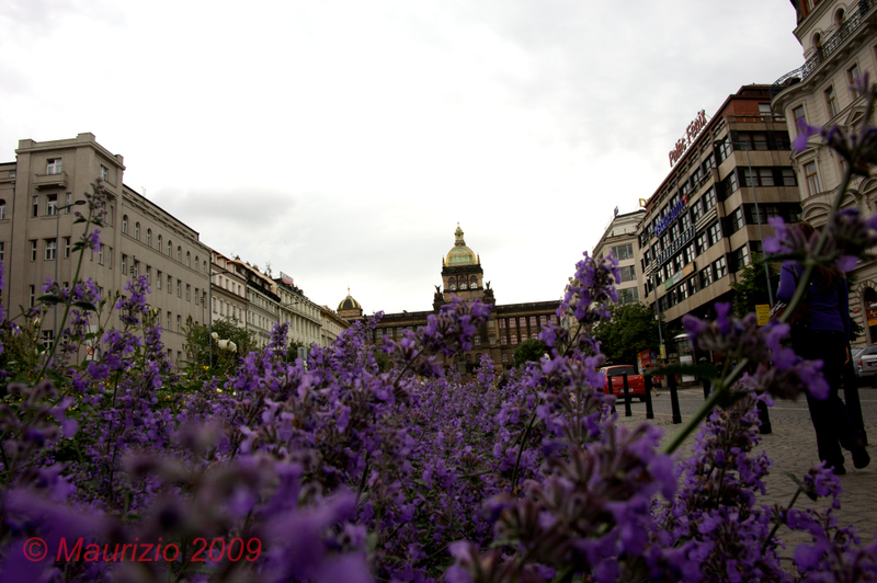 IMG_16.jpg